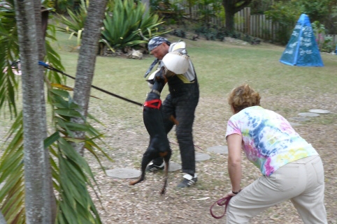 Seminar on Virgin Islands 2008